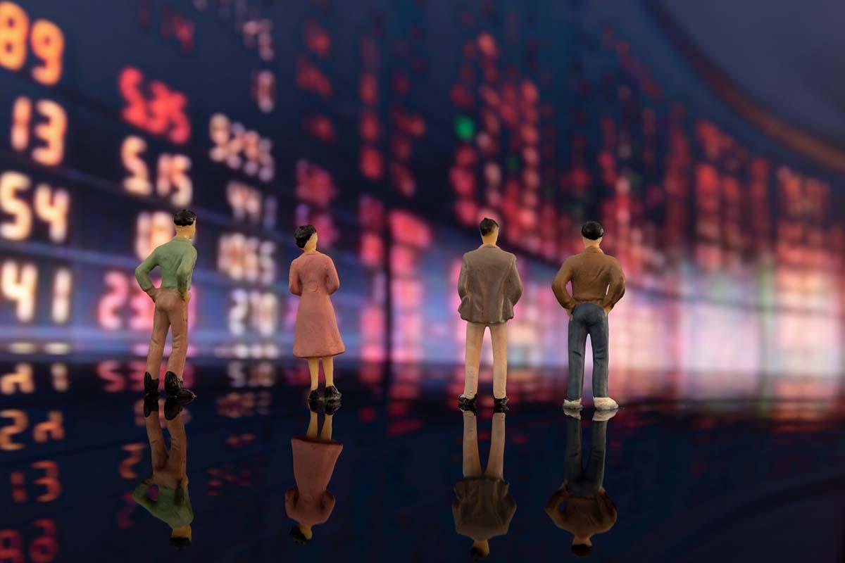 Equity Investment & Share Market Advisory